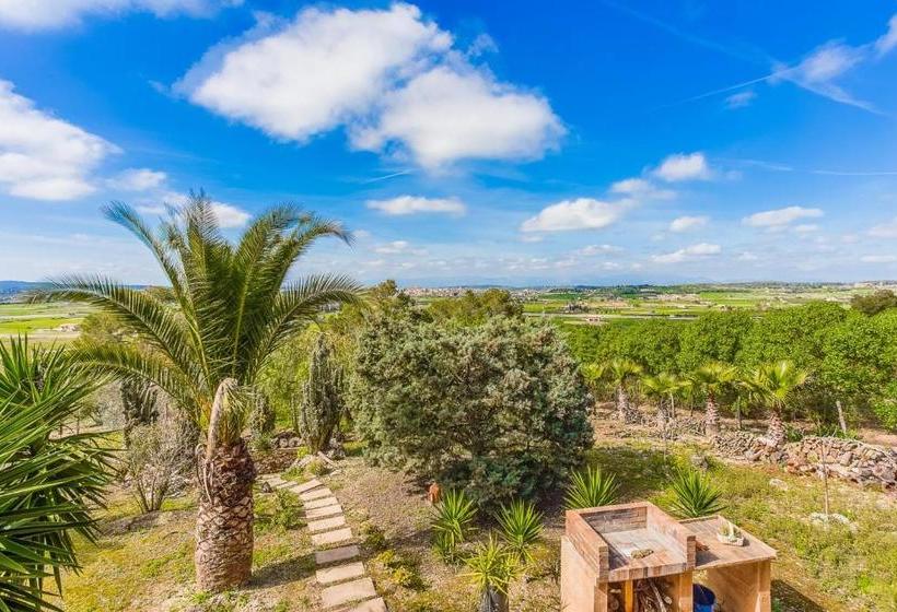 Отель Finca Can Tomeu