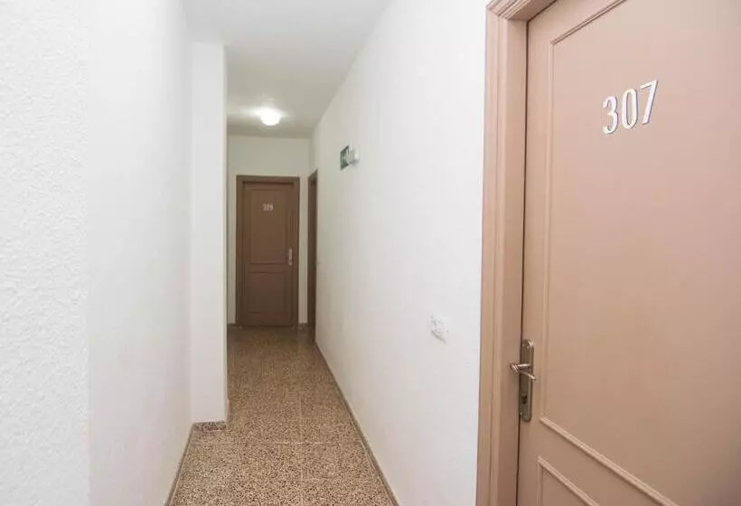 ホテル Pension Alcala