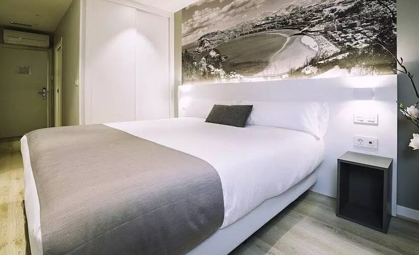 Hotelli Pension Txingurri