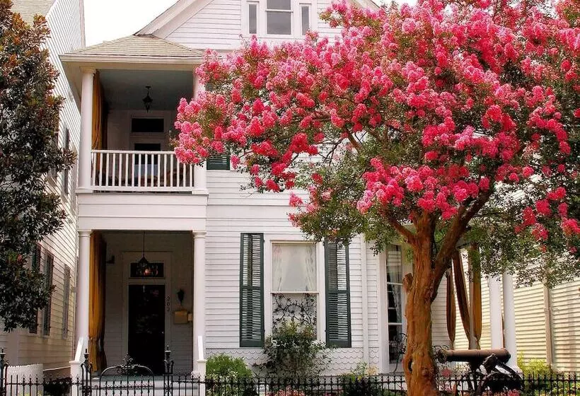 Hotelli Rising Sun Bed & Breakfast