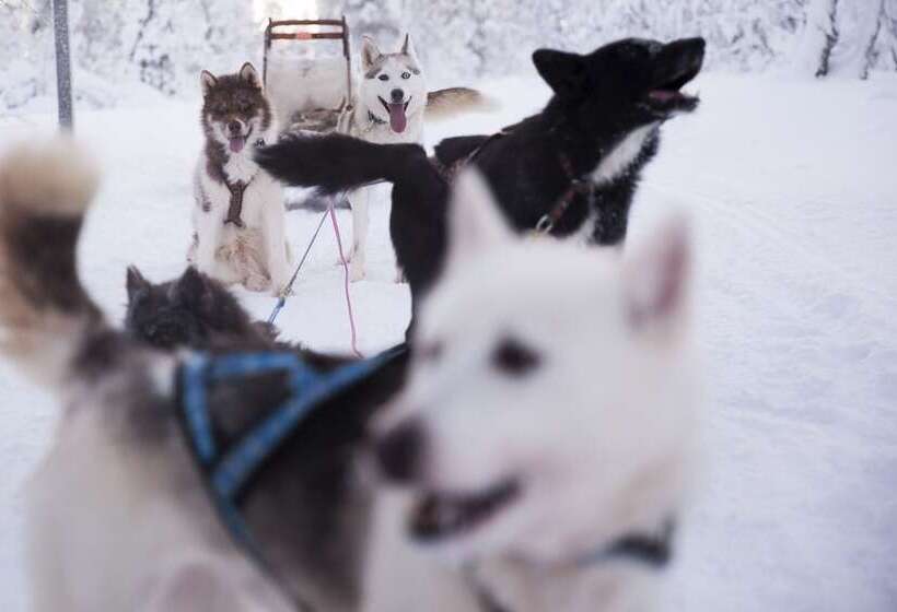 酒店 Saariselkä Inn Majatalo Panimo