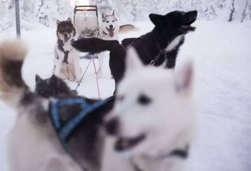 ホテル Saariselkä Inn Majatalo Panimo