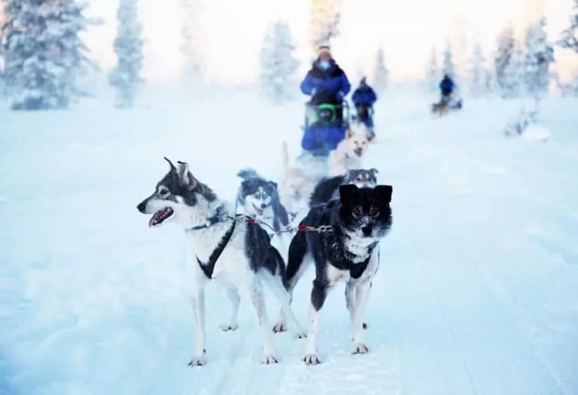 ホテル Saariselkä Inn Majatalo Panimo