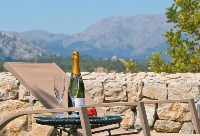 בית מלון כפרי Son Fe