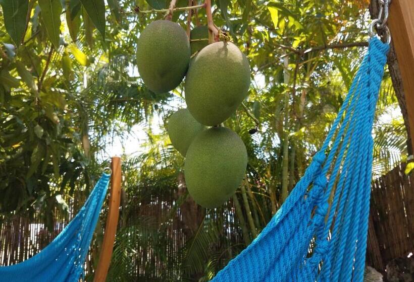 호텔 Suite Dreams Inn By The Beach