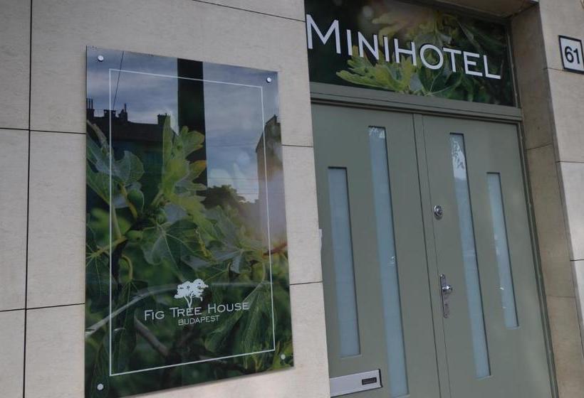 Fotos del hotel Fig Tree House Budapest:  9