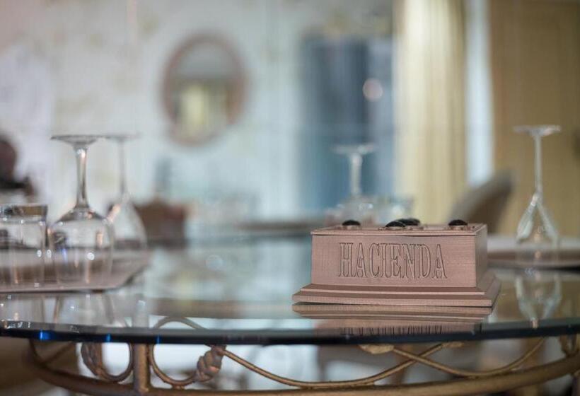 酒店 Hacienda La Demeure