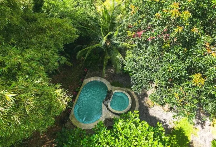ホテル Bamboo River Lodge