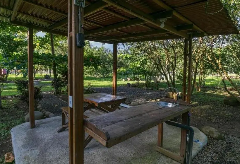 ホテル Bamboo River Lodge