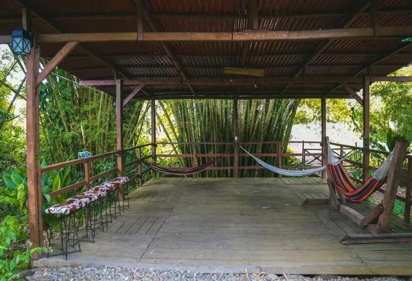 ホテル Bamboo River Lodge