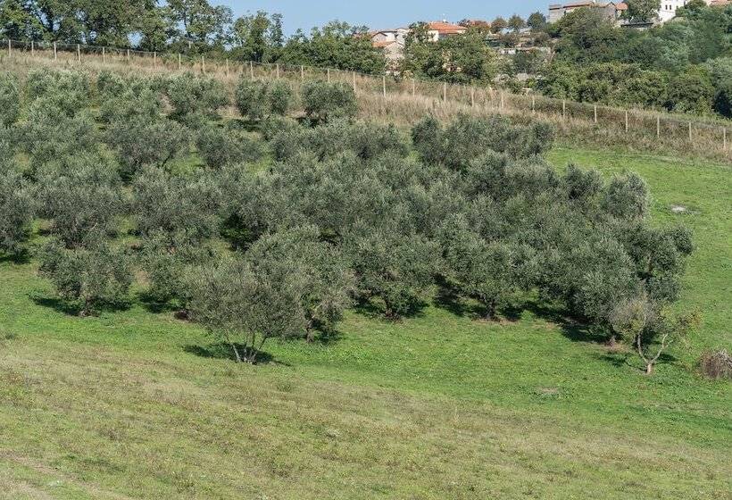 ホテル Agriturismo Bella Cima