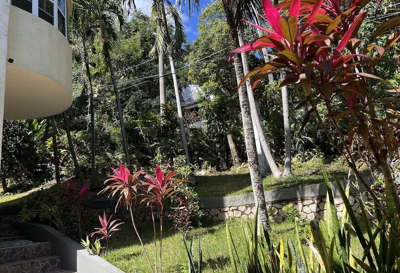 هتل All Nations Guest House