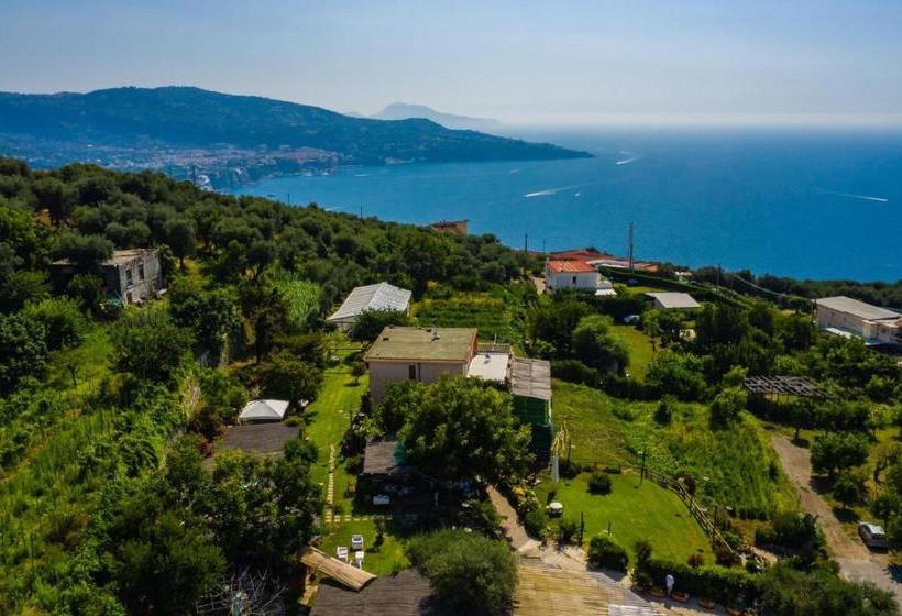 בית מלון כפרי Lantica Pigna Chateau