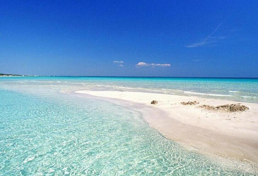 호텔 Punta Prosciutto Angel Bay B&b