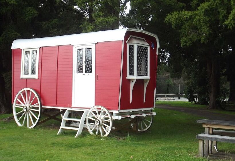 酒店 Greytown Campground
