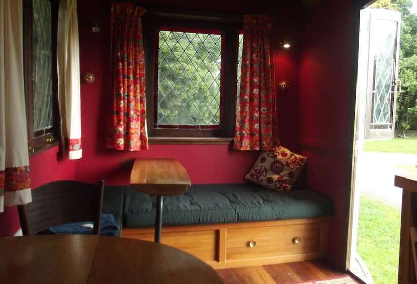 酒店 Greytown Campground