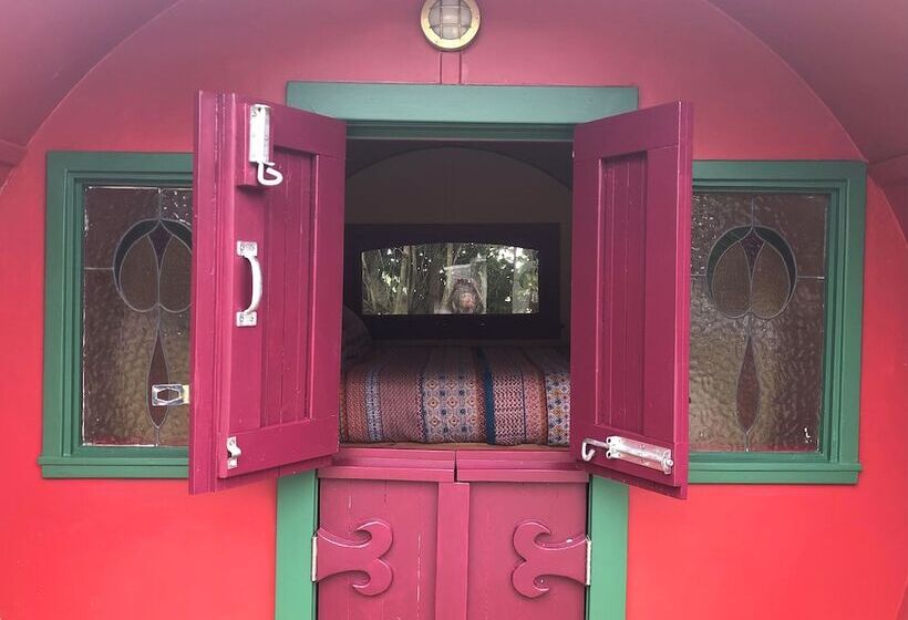 酒店 Greytown Campground