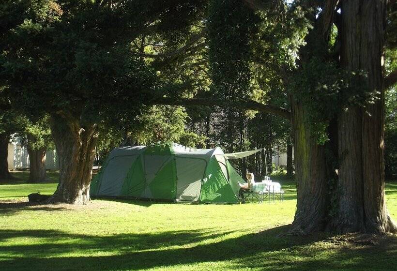 酒店 Greytown Campground