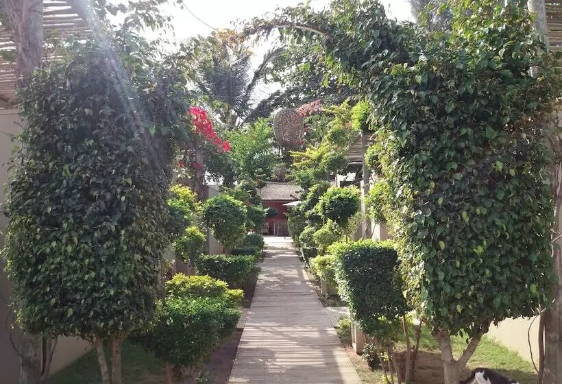 ホテル Liv Inn Guest House