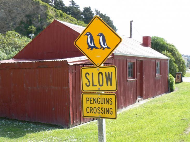 בית מלון כפרי Oamaru Holiday Homes 92 Aln Street