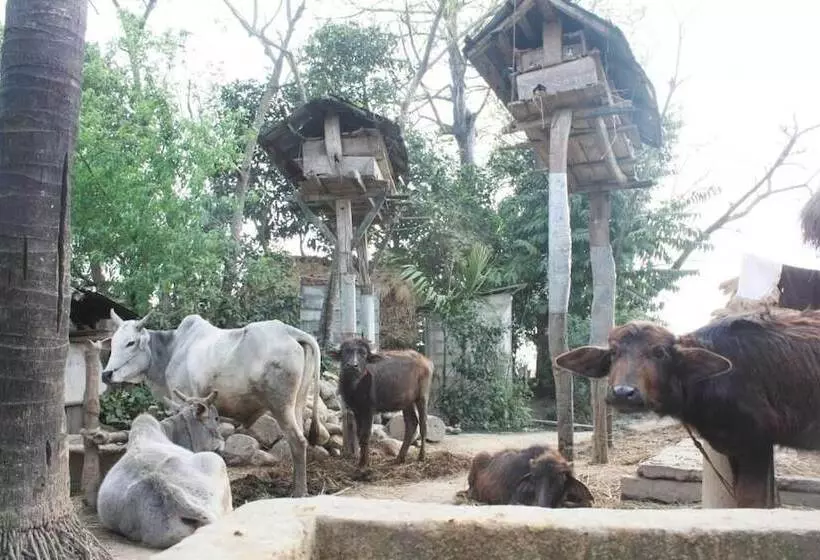 هتل Tharu 20for7 Holiday House