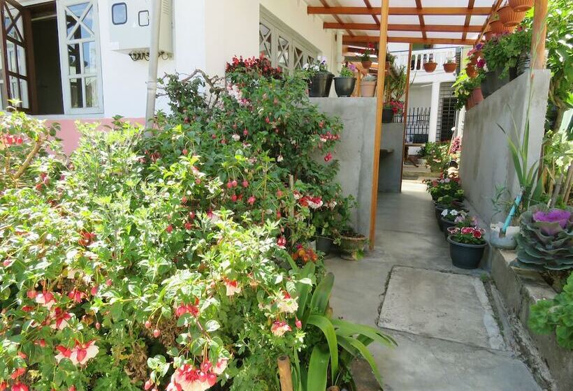 فندق Carnation Rest