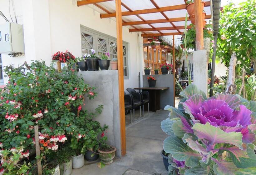 فندق Carnation Rest