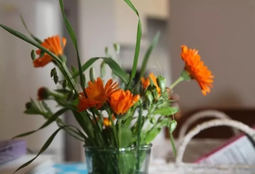 ホテル Green Cottages