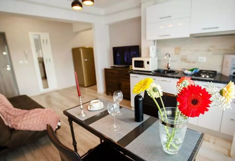 ホテル Metropolitan Iassium Luxury Suites