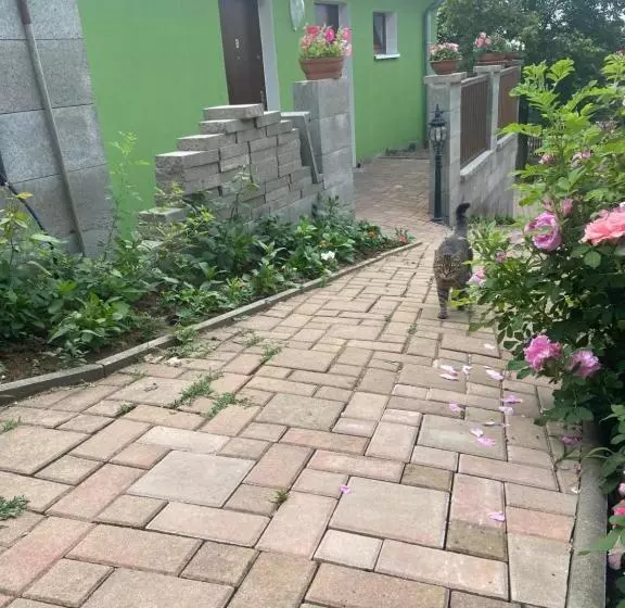 Hotelli Penzion U Pavla