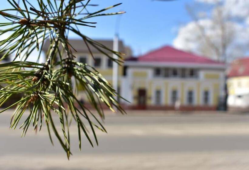 فندق Reshetnikov Hostel