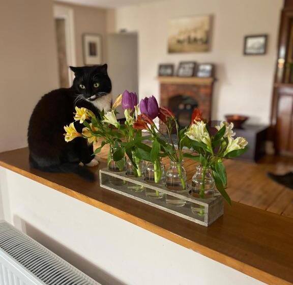 Отель The Gordon Arms Restaurant With Rooms