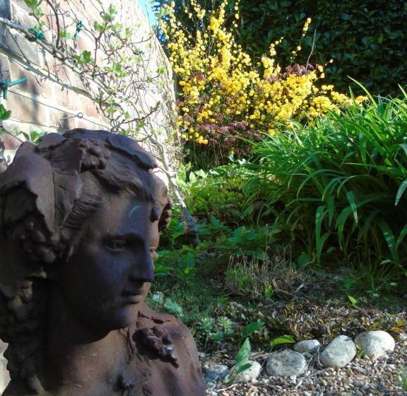 هتل The Old School B&b