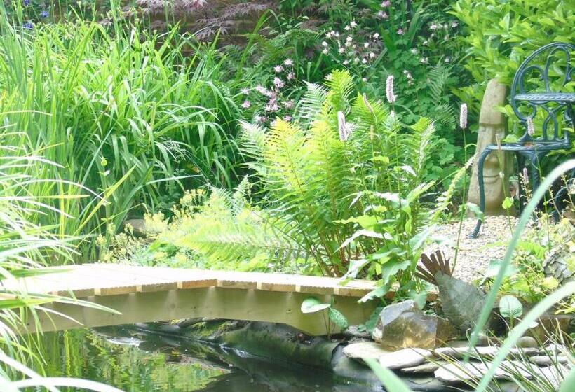 هتل The Old School B&b