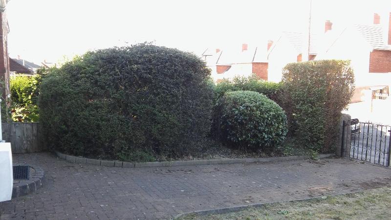 Отель Willodean