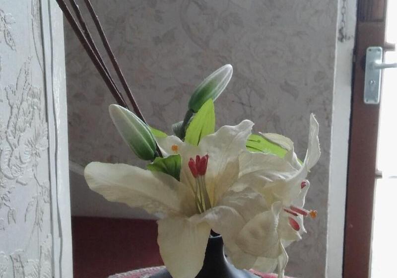 Отель Willodean