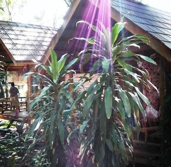 Lomakeskus Hutyee Boat Bungalow
