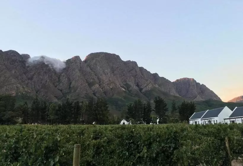 ホテル Chambray Estate   The Terraces In The Vines