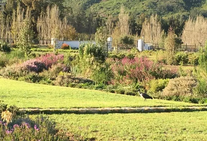 ホテル Chambray Estate   The Terraces In The Vines