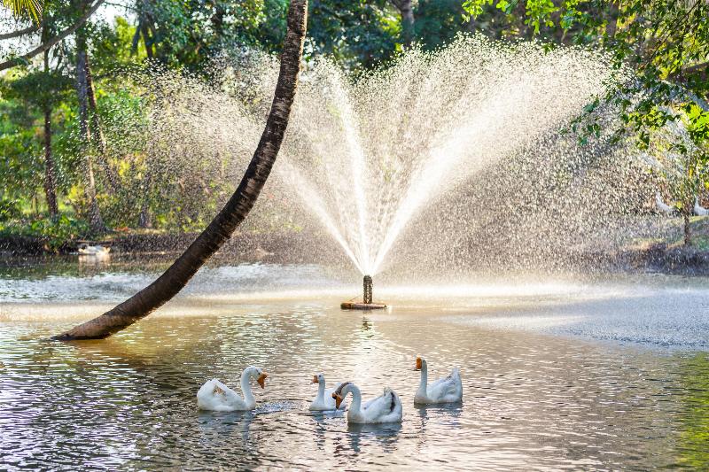 ホテル Fisherman Way Beach Villa
