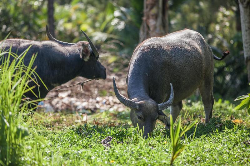 ホテル Fisherman Way Beach Villa