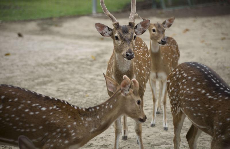 ホテル Fisherman Way Beach Villa