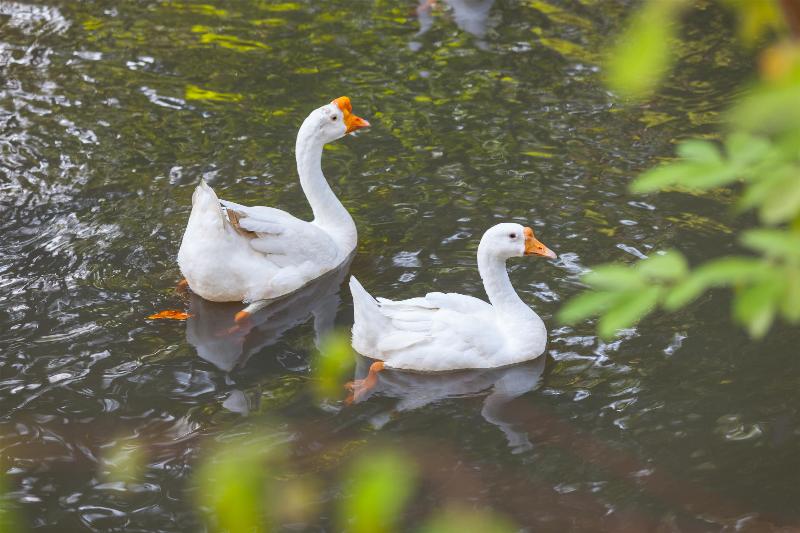 ホテル Fisherman Way Beach Villa