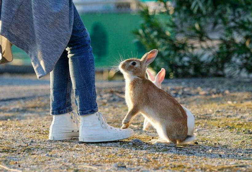 Отель Kyukamura Ohkunoshima