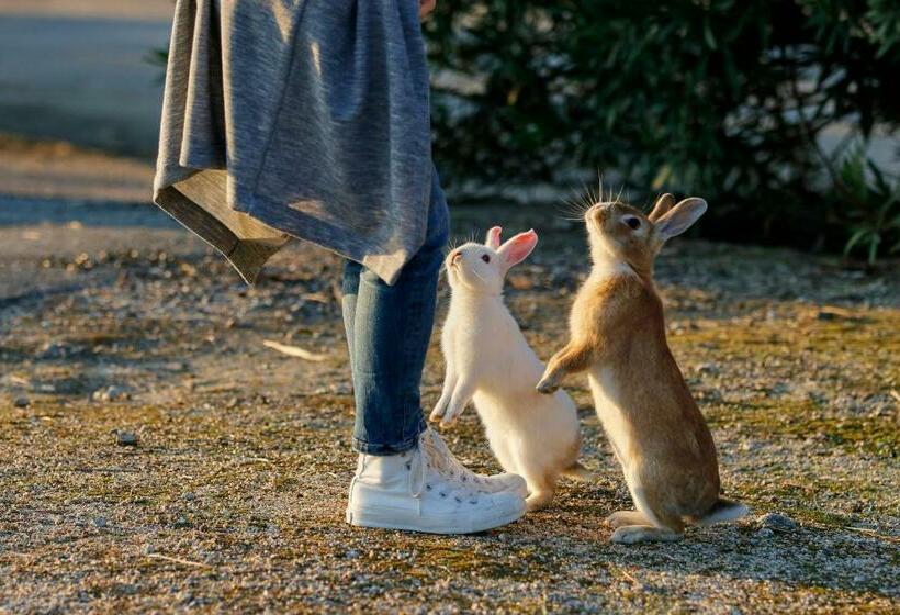 Отель Kyukamura Ohkunoshima