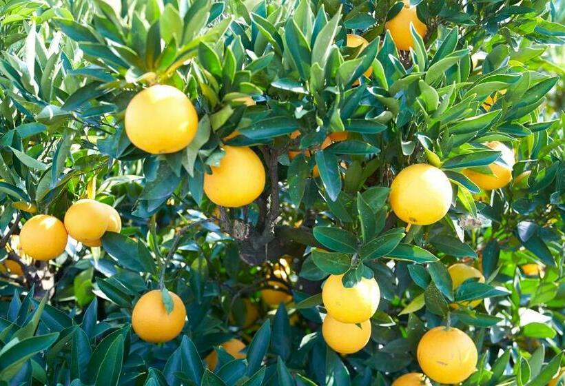 Отель Kyukamura Ohkunoshima