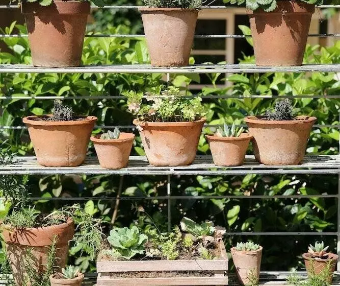 هتل Lexden Guesthouse