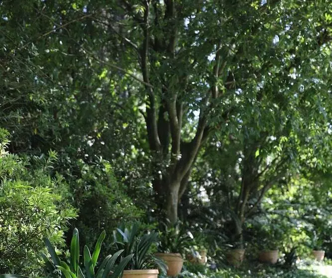 هتل Lexden Guesthouse