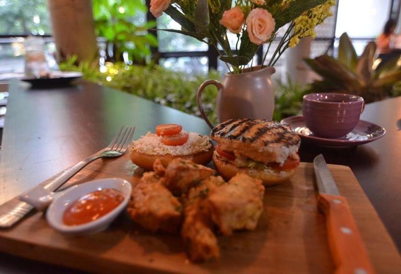 בית מלון כפרי Naraya House