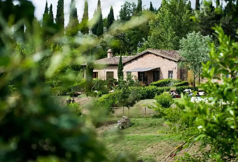 Fattoria Sant Andrea   Farm Stay